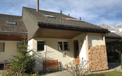 Hostattstrasse 20: Tag, Hus, Sommerhus, Hjem, Sidespor, Hældning, Skygge, Gård, Backyard
