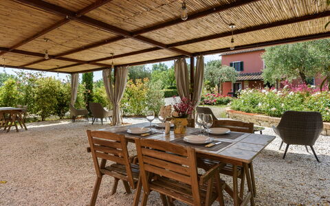 Villa Varna: Plante, Bord, Møbel, Ejendom, Stol, Udendørs Møbler, Udendørs Bord, Indretning, Skygge, Træ