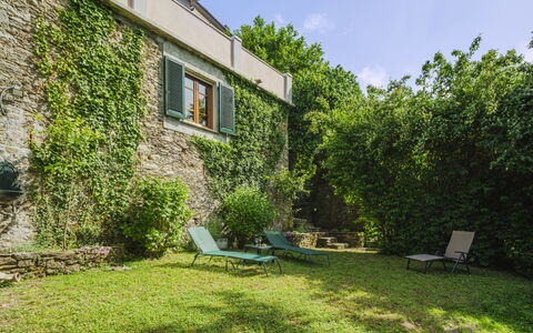 Stella: Plante, Himmel, Plantesamfund, Bygning, Vindue, Naturlige Landskab, Hus, Skygge, Land Lot, Sommerhus