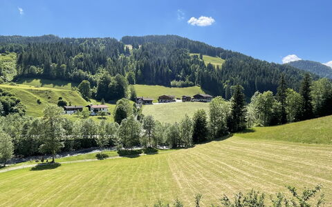 Troadkasten: Sky, Himmel, Plante, Bjerg, Daytime, Grøn, Naturlige Landskab, Hældning, Land Lot, Træ
