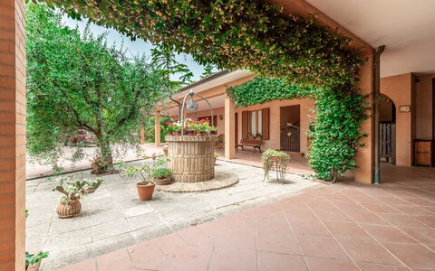 Villa Rosso Corbezzolo: Plante, Bygning, Blomsterkrukke, Stueplante, Vindue, Dør, Træ, Arkitektur, Græs, Skygge