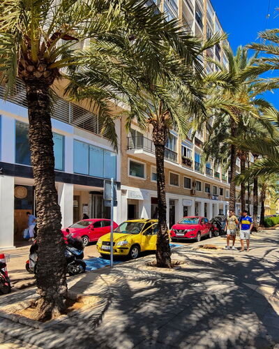 Puerto Denia Cervantes