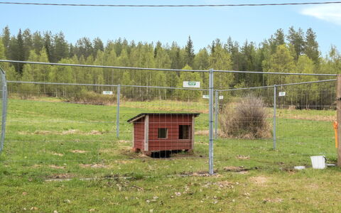 Rantala: Sommerhus, Hus, Hjem, Garden Bygninger, Sidespor, Bjælkehytte, Stuehus, Estate, Skur, Gård