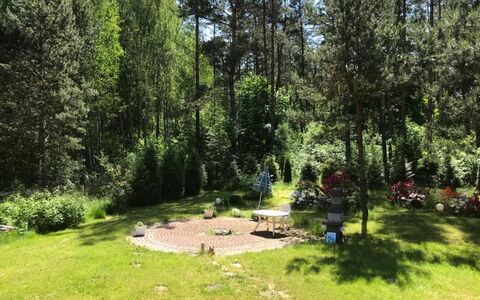Wałpusz: Plante, Plantesamfund, Træ, Naturlige Landskab, Land Lot, Himmel, Lærk, Græs, Evergreen, Bunddække