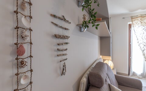 Casamare: Plante, Træ, Afdeling, Kvist, Indretning, Blomst, Træ, Komfort, Couch