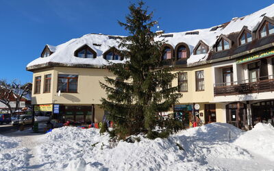 Feriebolig:&nbsp;Harrachov Central Nest 61.2