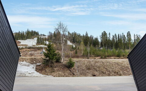 Skivillas 47 Ukkohalla (A7): Træ, Vinter, Sne, Hjem, Sommerhus, Fryser, Sidespor, Bjælkehytte, Is