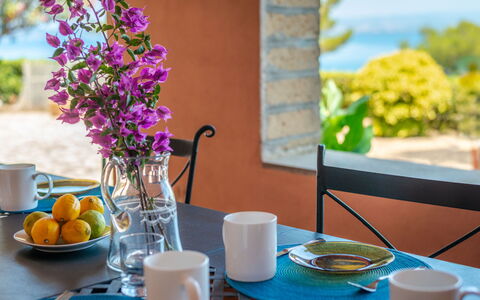 Sole: Bordservice, Bord, Ejendom, Drinkware, Kop, Blå, Azure, Plante, Dug, Purple