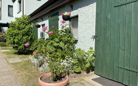 Gingst 602: Plante, Blomst, Ejendom, Vindue, Bygning, Blomsterkrukke, Væg, Græs, Hus, Sidespor