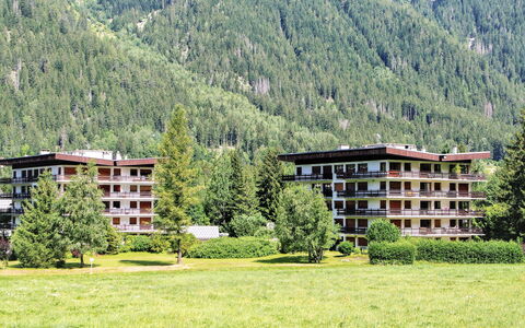 Chamonix 490: Bygning, Plante, Bjerg, Økoregion, Træ, Naturlige Landskab, Highland, Hus, Land Lot, Hældning