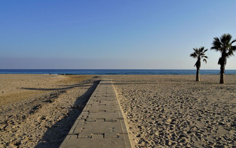 Torredembarra 109: Himmel, Træ, Arecales, Strand, Coastal Og Oceaniske Landskabsformer, Vand, Plante, Horisont, Landskab, Almindeligt