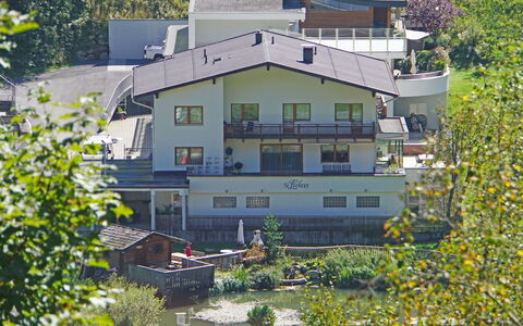 See 208: Bygning, Plante, Vindue, Blad, Botanik, Hus, Gul, Urban Design, Træ, Biome