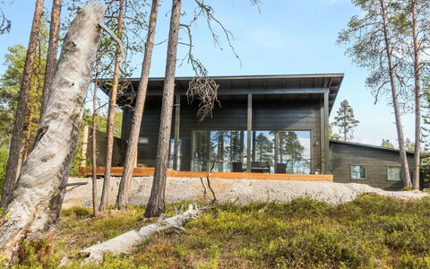 Villa Paatari: Træ, Sommerhus, Bjælkehytte, Skov, Skur, Garden Bygninger, Lærk, Woodland, Bejdse