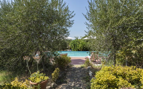 Villa Cevoli: Plante, Vand, Plantesamfund, Himmel, Naturlige Landskab, Træ, Vegetationen, Busk, Græs, Svømmepøl