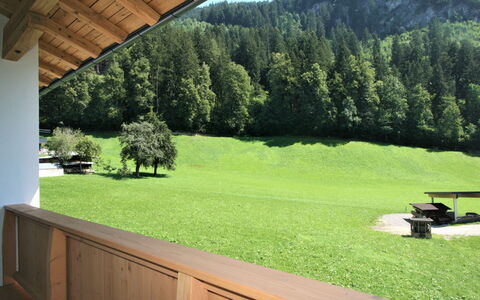 Mayrhofen 350: Plante, Ejendom, Himmel, Økoregion, Udendørs Bench, Træ, Naturligt Miljø, Skygge, Træ, Naturlige Landskab