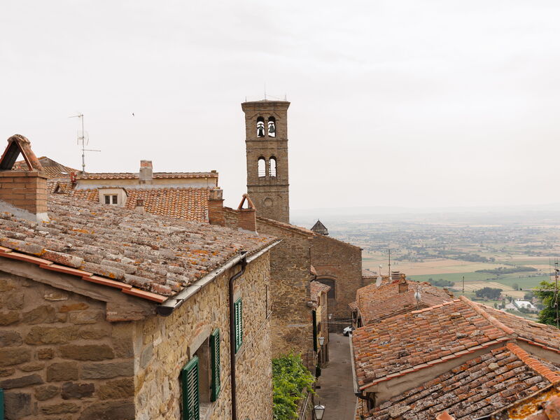 Panoramic view