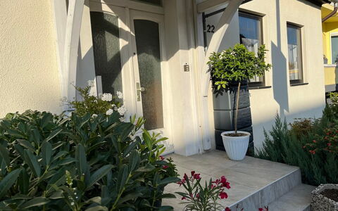 Schillerplatz: Plante, Ejendom, Bygning, Botanik, Vindue, Blomst, Arkitektur, Blomsterkrukke, Væg, Line