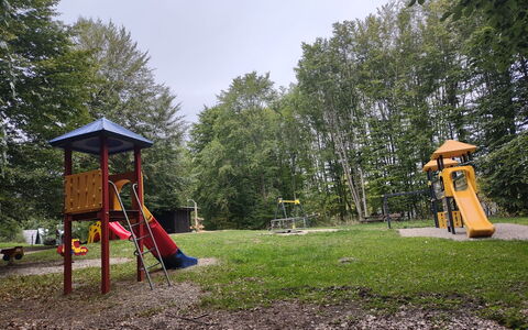 Waldoase: Plante, Himmel, Træ, Land Lot, Friluftsliv, Skygge, Græs, Fritid, Fritid, City