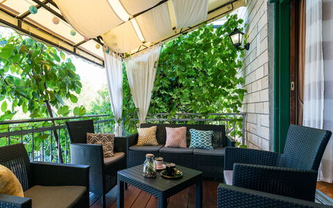 Otavia: Møbel, Ejendom, Bord, Couch, Skygge, Indretning, Træ, Stol, Stueplante, Plante