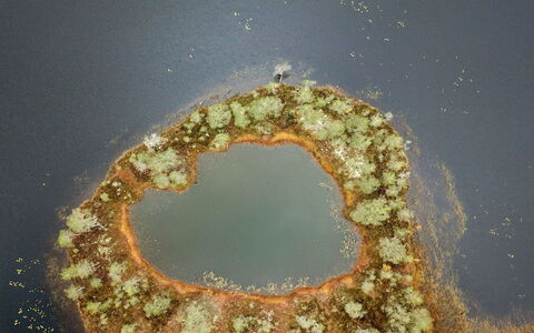 Osmola: Seng, Møbel, Soveværelse, Indretning, Sengetøj, Sengetøj, Gulvbelægning, Træ, Etage, Værelse