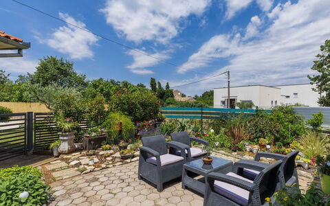 Marija: Busk, Have, Blomsterkrukke, Landscaping, Skygge, Eco Hotel, Stueplante, Stol, Gård
