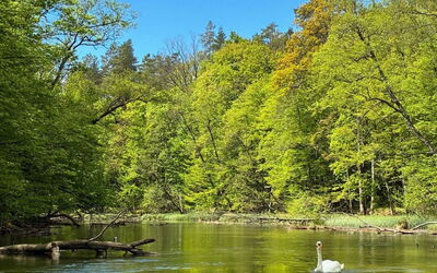 Zagroda Nad Krutynią