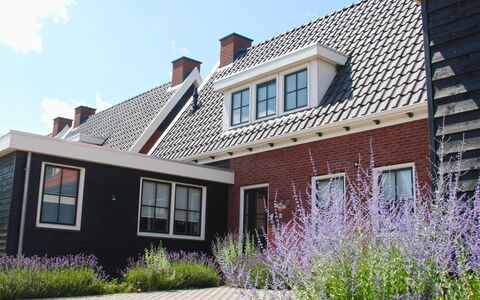 Ganuenta: Plante, Himmel, Vindue, Bygning, Ejendom, Sky, Hus, Blomst, Arkitektur, Græs
