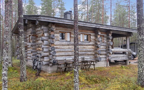 Hakojärven Kelomajat 2: Træ, Bjælkehytte, Sommerhus, Lærk, Woodland, Skur, Hytte, Garden Bygninger