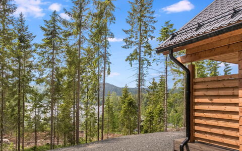 Kolin Kangastus Kanerva 4: Bjergrige Landskabsformer, Bjerg, Bakke, Bjergkæde, Naturlige Landskab, Highland, Dal, Hill Station, Kam, Landdistrikt