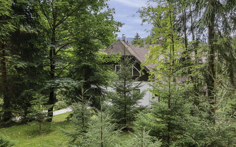 Harrachov 130: Sne, Himmel, Bjerg, Vindue, Sky, Bygning, Hus, Hældning, Træ, Sommerhus