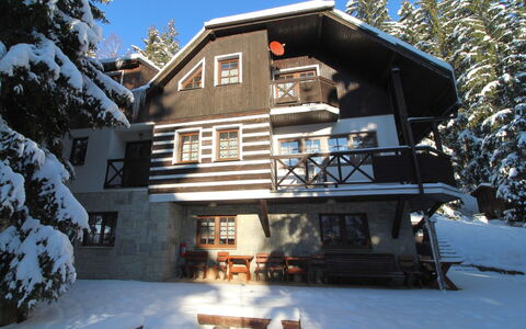 Harrachov 130: Vand, Himmel, Sky, Strand, Coastal Og Oceaniske Landskabsformer, Vind Wave, Horisont, Landskab, Træ