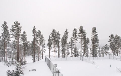 Jymykatti: Træ, Sommerhus, Hjem, Bjælkehytte, Tømmer, Sidespor, Hårdttræ, Naturmateriale, Garden Bygninger, Hytte