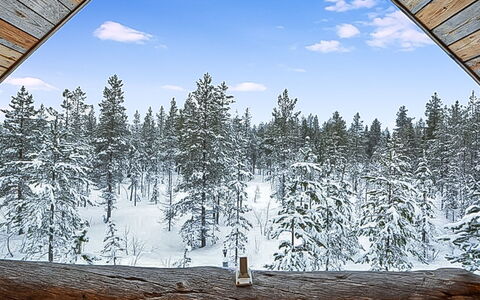 Lomaperä: Træ, Hus, Sne, Sommerhus, Hjem, Vinter, Tag, Fryser, Sidespor, Hældning