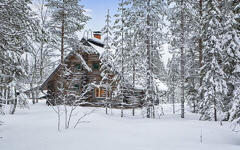 Lomaperä: Træ, Hus, Sne, Sommerhus, Hjem, Vinter, Tag, Fryser, Sidespor, Hældning