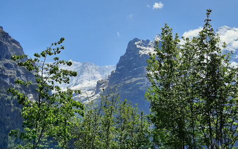 Chalet zur Höhe: Himmel, Sky, Plante, Bjerg, Afdeling, Lærk, Hældning, Naturlige Landskab, Evergreen, Vedplante