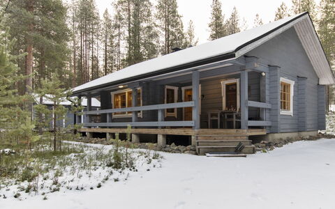 Kuusenkolo: Træ, Sommerhus, Bjælkehytte, Skov, Skur, Garden Bygninger, Lærk, Woodland, Bejdse
