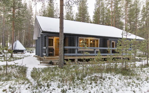 Kuusenkolo: Træ, Sommerhus, Bjælkehytte, Skov, Skur, Garden Bygninger, Lærk, Woodland, Bejdse