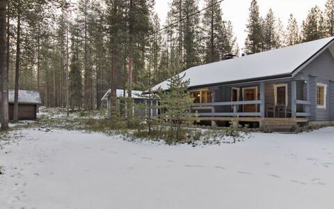 Kuusenkolo: Træ, Sommerhus, Bjælkehytte, Skov, Skur, Garden Bygninger, Lærk, Woodland, Bejdse