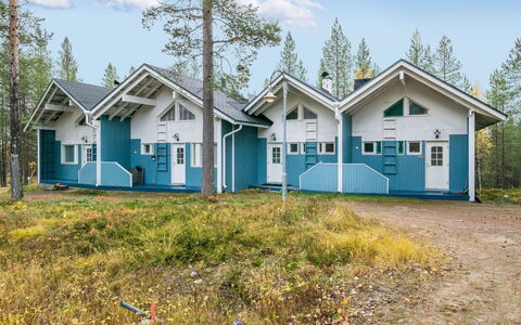 Isokurunpuisto a 2: Træ, Sommerhus, Bjælkehytte, Skov, Skur, Garden Bygninger, Lærk, Woodland, Bejdse
