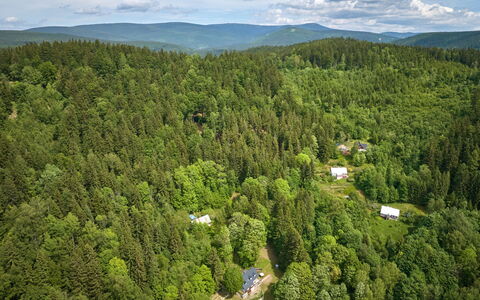 Sunny Slope & Sauna: Træ, Naturligt Miljø, Natur, Blad, Vegetationen, Skov, Landskab, Økoregion, Plantesamfund, Land Lot