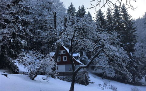 Sunny Slope & Sauna: Sky, Himmel, Bygning, Bordservice, Azure, Plante, Stol, Bord, Ejerlejlighed, Veranda