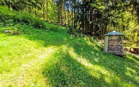 Sunny Slope & Sauna: Plante, Træ, Naturlige Landskab, Græs, Bunddække, Skygge, Landskab, Busk, Græs-, Terrestrisk Plant