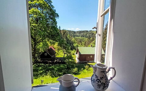 Sunny Slope & Sauna: Bordservice, Vindue, Drinkware, Tallerkner, Himmel, Bord, Kop, Bygning, Plante, Serveware