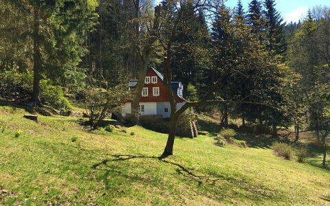 Sunny Slope & Sauna: Plante, Naturlige Landskab, Sky, Naturligt Miljø, Himmel, Træ, Hus, Afdeling, Vegetationen, Land Lot