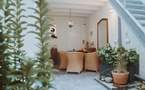 Historical and Spacious Villa Anaïs: Plante, Bygning, Blomsterkrukke, Stueplante, Indretning, Etage, Væg, Træ, Ejendom, Terrestrisk Plant