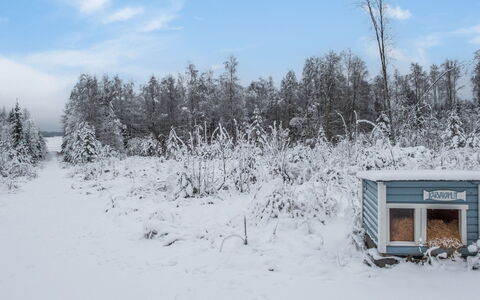 Kivilahti Vuokatti: Træ, Sommerhus, Hjem, Bjælkehytte, Tømmer, Sidespor, Hårdttræ, Naturmateriale, Garden Bygninger, Hytte