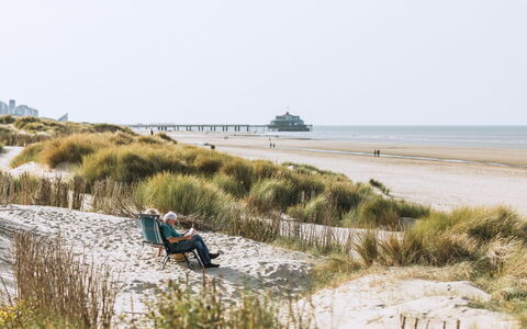 Blankenberge 810: Himmel, Økoregion, Plante, Strand, Coastal Og Oceaniske Landskabsformer, Bank, Græs, Landskab, Træ, Græs-