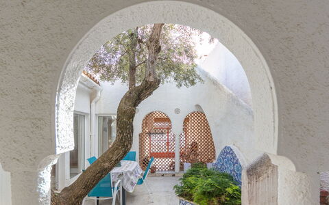 Los Abuelos: Plante, Bygning, Træ, Hus, Vedplante, Kunst, Skygge, Facade, Landskab, Arch
