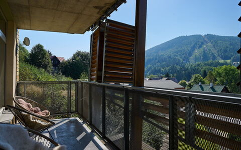 Harrachov 67: Himmel, Ejendom, Plante, Træ, Veranda, Skygge, Bygning, Træ, Hegn, Bjerg