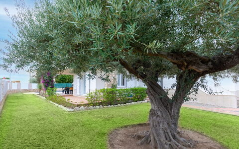 Villa Mar i Cel: Himmel, Sky, Plante, Ejendom, Vindue, Bygning, Bjerg, Highland, Træ, Træ